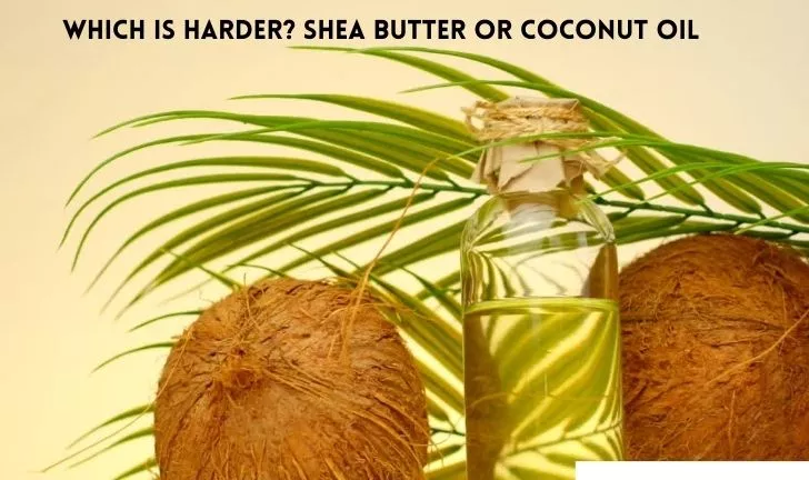 Which Is Harder? Shea Butter Or Coconut Oil