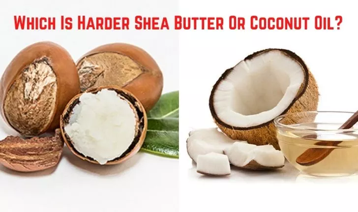 Which Is Harder Shea Butter Or Coconut Oil?